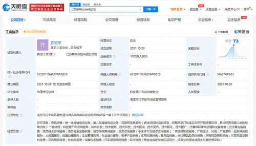 蘇寧易購(gòu)?fù)顿Y成立科技公司,經(jīng)營(yíng)范圍含互聯(lián)網(wǎng)數(shù)據(jù)服務(wù)
